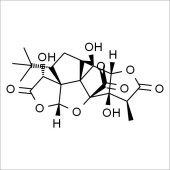 Solarbio SG8210 银杏内酯B 标准品