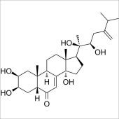 Solarbio SP5900 猪苓酮B 标准品
