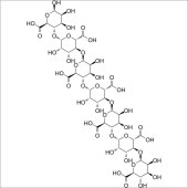 Solarbio SM4570 D-甘露糖醛酸七糖 标准品