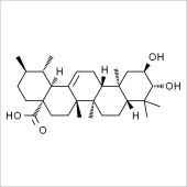 Solarbio SC8500 科罗索酸 标准品