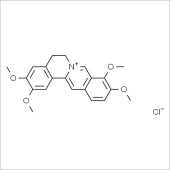 Solarbio SP8050 盐酸巴马汀 标准品