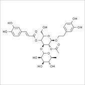 Solarbio SA8930 2-乙酰基洋丁香酚苷 标准品