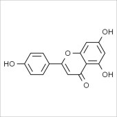 Solarbio SA8360 Apigenin 芹菜素 标准品