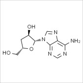 Solarbio SC8470 虫草素 标准品