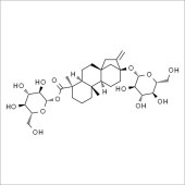 Solarbio SR8540 甜茶苷 标准品