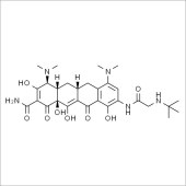 Solarbio ST9560 Tigecycline；替加环素
