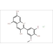 Solarbio SP9020 氯化矮牵牛素 标准品