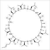 Solarbio SC6190 环孢菌素D 标准品