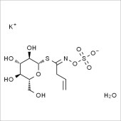 Solarbio SS9200 黑芥子硫苷酸钾一水 标准品