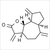 Solarbio SD8110 Dehydrocostus Lactone 去氢木香内酯 标准品