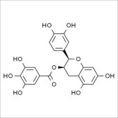 Solarbio SE8110 表儿茶素没食子酸酯 标准品