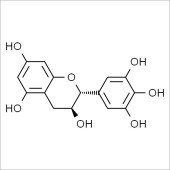 Solarbio SG8050 没食子儿茶素 标准品