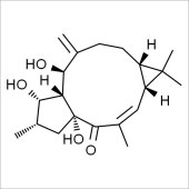 Solarbio SL8010 Lathyrol 千金子二萜醇 标准品