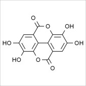 Solarbio SE8300 鞣花酸 标准品