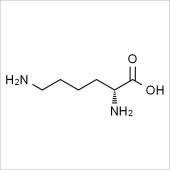 Solarbio SL9350 D-赖氨酸 标准品