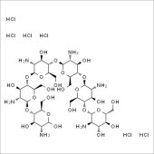 Solarbio SC9890 壳六糖 标准品