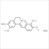 Solarbio SJ8020 盐酸药根碱 标准品
