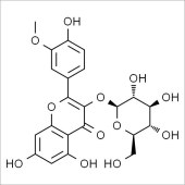 Solarbio SI8300 异鼠李素-3-O-葡萄糖苷 标准品