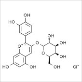 Solarbio SC9770 矢车菊素-3-O-半乳糖苷 标准品
