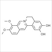 Solarbio SD8720 去亚甲基小檗碱 标准品