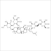 Solarbio SG8260 人参皂苷Rb1 标准品