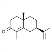 Solarbio SC8800 α-香附酮 标准品