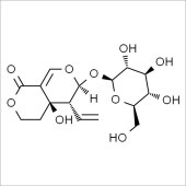 Solarbio SS8760 Swertiamarin 獐牙菜苦苷 标准品