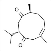 Solarbio SC8710 莪术二酮 标准品