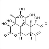 Solarbio SB8280 鸦胆子素D 标准品