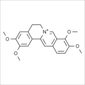 Solarbio SP8800 Palmatine 掌叶防已碱 标准品