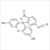 Solarbio SDF7040 荧光素-6-异硫氰酸酯 标准品