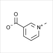 Solarbio ST8260 Trigonelline  葫芦巴碱 标准品