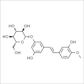 Solarbio SR8340 Rhaponiticin 土大黄苷 标准品
