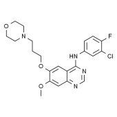 Solarbio SG9080 吉非替尼 标准品