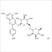 Solarbio SP5720 天竺葵-3-O-芸香糖苷 标准品