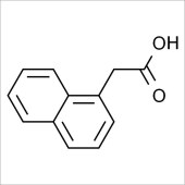 Solarbio SN8580 1-萘乙酸 标准品