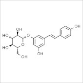 Solarbio SP8420 虎杖苷 标准品