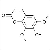 Solarbio SI8170 异嗪皮啶 Isofraxidin 标准品