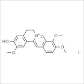 Solarbio SJ8010 Jatrorrhizine 药根碱 标准品