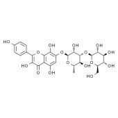 Solarbio SR8400 红景天素