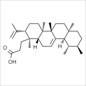 Solarbio SR8140 栎樱酸 标准品