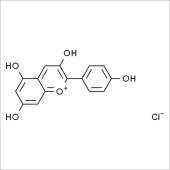 Solarbio SP5020 氯化天竺葵素 标准品
