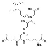 Solarbio SG9190 还原型谷胱甘肽 标准品