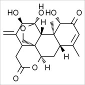 Solarbio SA9130 臭椿酮 标准品