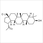 Solarbio SB8190 Betulinaldehyde 白桦脂醛 标准品