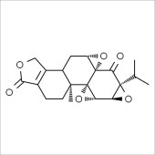 Solarbio ST8300 雷公藤内酯酮 标准品