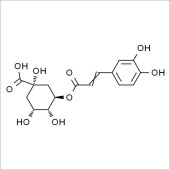 Solarbio SC8210 绿原酸 标准品