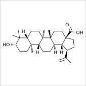 Solarbio SE8090 表白桦脂酸 标准品
