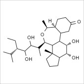 Solarbio SH9030 28-高油菜素内酯 标准品