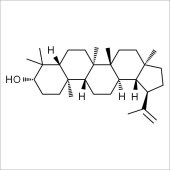 Solarbio SL8290 Lupeol 羽扇豆醇 标准品